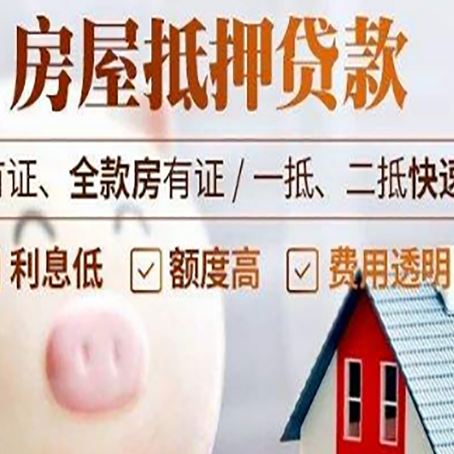 文山贷款助贷公司新渝启服成立时间久